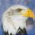 Kathy Fuller's profile image