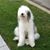 Dmitriy Katz's profile image