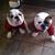 Terri Larson's profile image