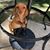 Donnie LeBoeuf's profile image