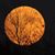 Kelly Toole's profile image