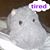 Trisha Wong's profile image