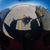 Rene Alfonso's profile image