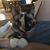Michelle Upham's profile image