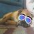 David Peterson's profile image