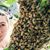 Jenny DeFreitas's profile image