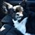 Crystel Carnal's profile image