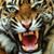 Charlotte Wilborn's profile image