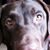 Karen Losak's profile image