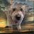 MichelePiscitelli JohnDobosz's profile image