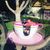 Jane Mailey Benning's profile image