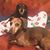 Dena Haton's profile image