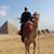 Greg Dinsmore's profile image