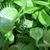 Cathleen Draskin's profile image