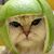 Judy Taylor's profile image