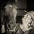 Cora Ahearn's profile image