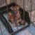 Catheryn Jones's profile image