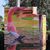 Marianne Ellerson Lucas's profile image