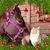 Natalie Povey's profile image