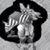 Carla Pascavis Barfield's profile image
