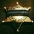 Amy Delphine Zeilinga's profile image
