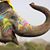Vicki Desrosiers's profile image