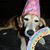 Barb Cressy's profile image