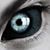 Steven M Kavanagh's profile image