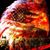 Bill Ball's profile image