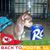 Mary Lou Peck's profile image