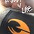 Bryan Sabec's profile image