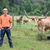 Wrangler Campbell's profile image