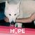 Karen Swain's profile image