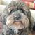 Kathy Kipp Ferrara's profile image