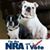 Nicole Bower Beck's profile image