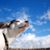 Sarah Becker's profile image