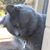Yvonne M. Freeman's profile image