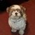 Stephanie Sweets's profile image