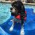 Dawnette Hahn's profile image