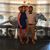 Brandy Johnson's profile image