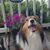 Julie Ashberry's profile image