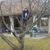 Donna Erichsen's profile image