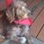 Doug Rushing's profile image