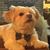 Douglas Fitz's profile image