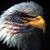 Mike Bourget's profile image