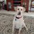 Doug Taylor's profile image