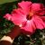 Sharon Clemens's profile image