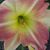 Sharon Mike Nichols's profile image