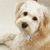 Barbara Wood DelaCruz's profile image