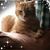 Trudy Brothers's profile image